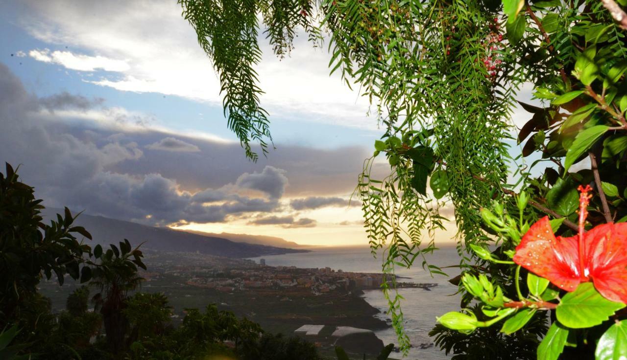 Villa Bungalow Aloha à Puerto de la Cruz  Extérieur photo